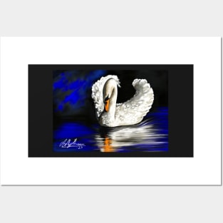 Mute White Swan On Blue Lake Posters and Art